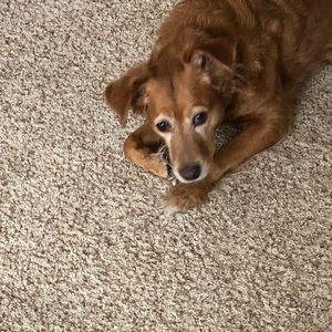 Meet your Posher, Elizabeth